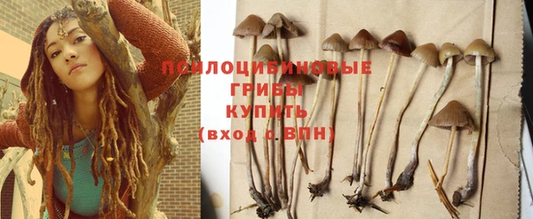 спиды Аркадак