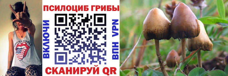 Псилоцибиновые грибы MAGIC MUSHROOMS  Купить  Сим 